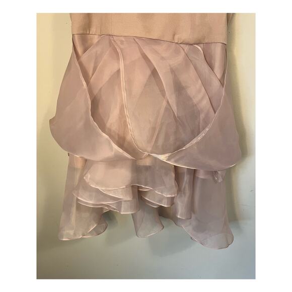 Touchup Ateliere Organza Mini Dress Blush Pink Tulle Romantic Ballerinacore sz S - Picture 5 of 6